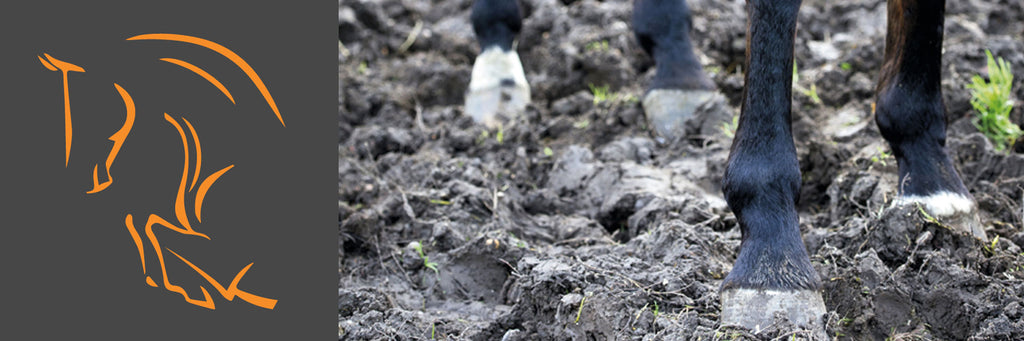 Turnout/ Mud Fever Boots – Horse By Horse