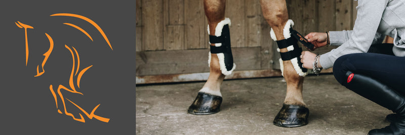 Different Types of Boots for Horses
