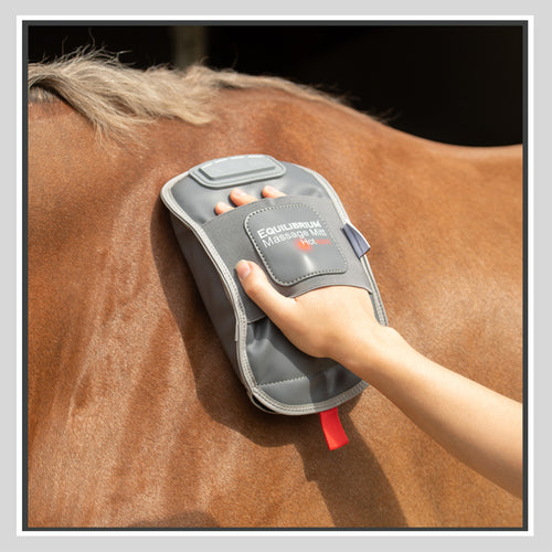 Therapy Products for Horses DiClass Equine