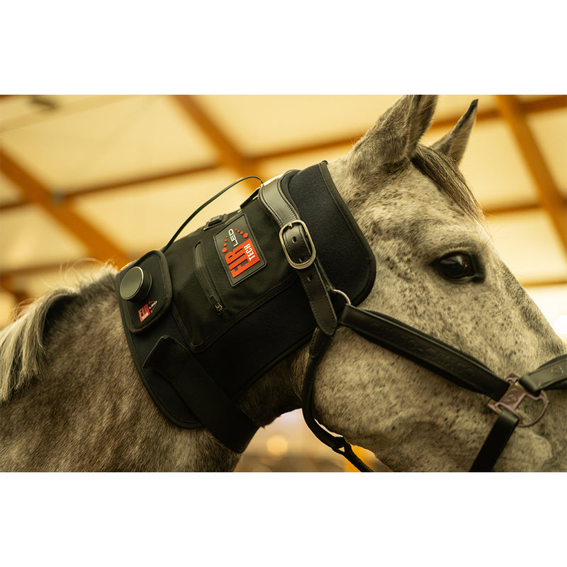 Catago LED therapy pad used on horse neck and poll