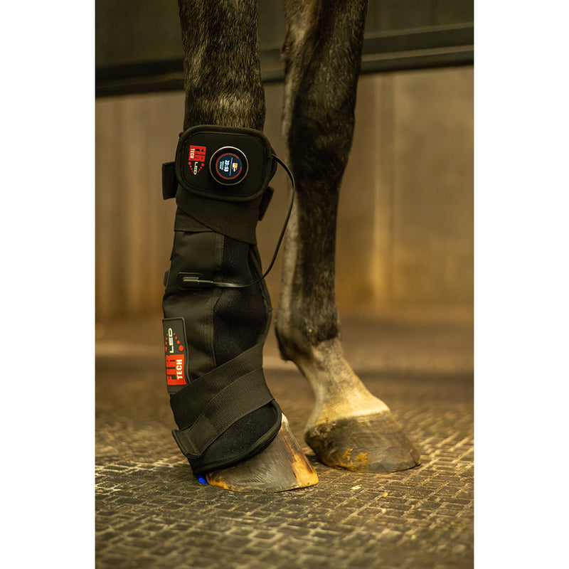 Catago LED Therapy Pad used on horse tendon