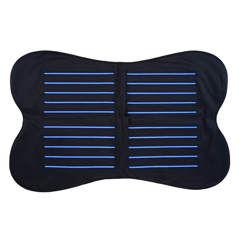 Catago X84 LED Therapy Pad for Horses  Blue Light