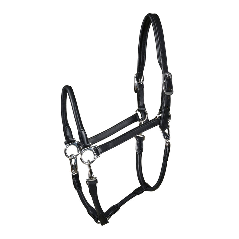 Catago Tack Up Leather Grooming Headcollar