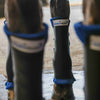 Cryochaps stable boots hind view