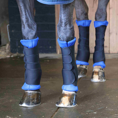 cryochaps stablechaps compression boots for horses