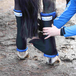 cryochaps stablechaps hind