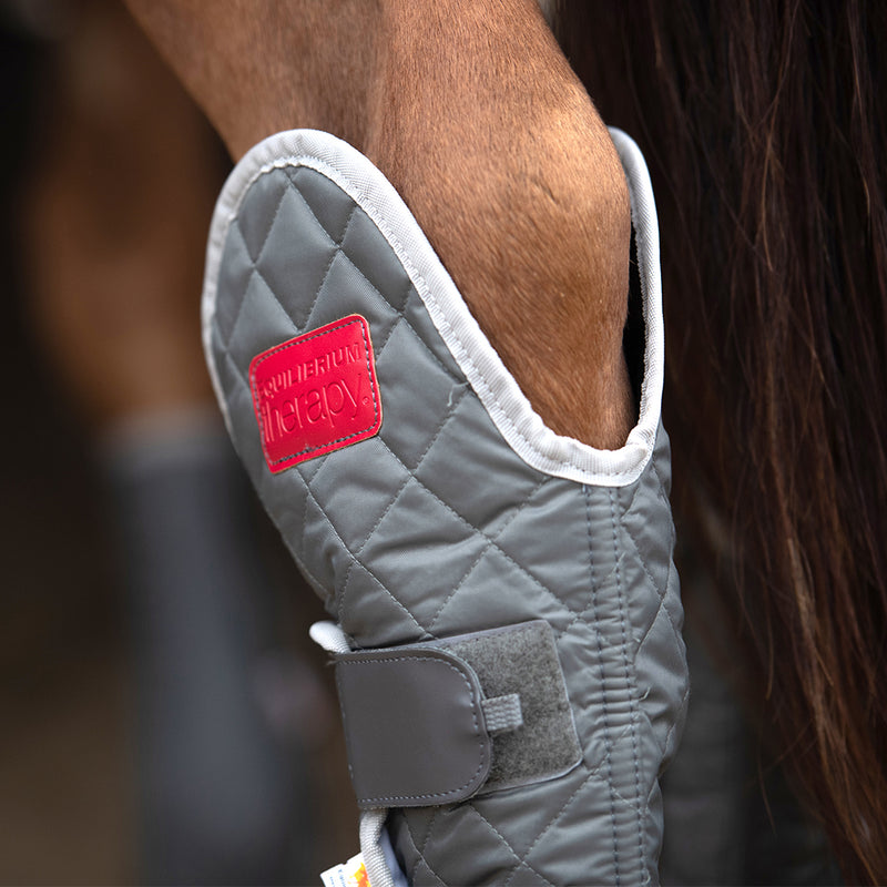 Equilibrium magnetic boots on horse showing hock area