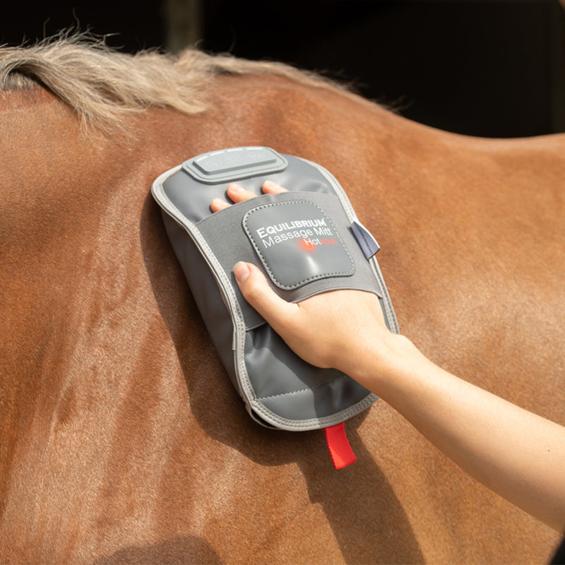 Equilibrium Massage Mitt Hotspot