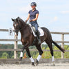 Equilibrium stretch and flex flatwork wraps shown on horse