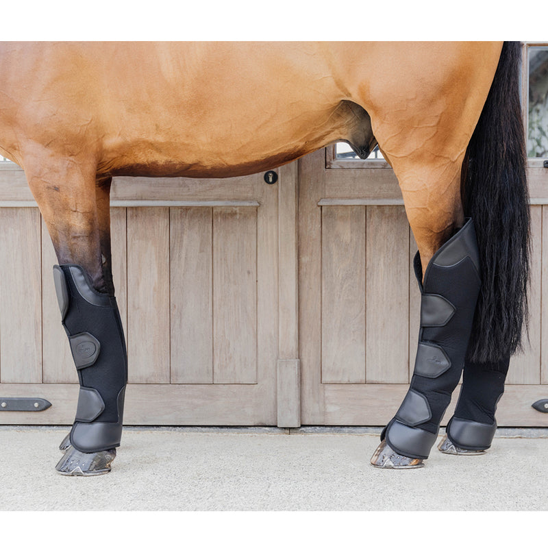 Kentucky 3D Spacer Travel Boots Set 