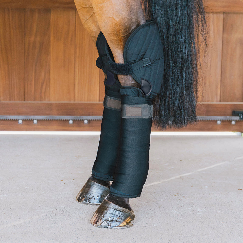 Kentucky Horsewear Transport and Stable Bandage Pads with Hock Protection on horse side view