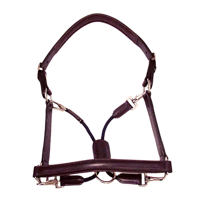 Silver Crown Leather Grooming Halter Nut Brown Navy Rope