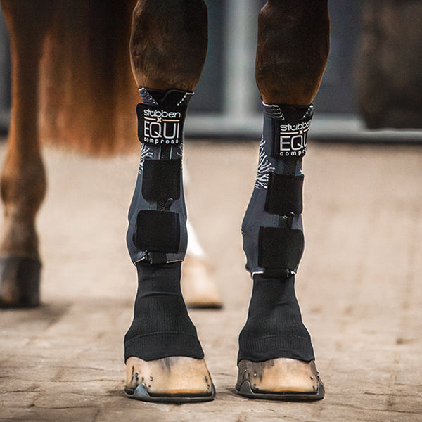 Stübben Equi Compress Stocking & Gaiter Set – DiClass Equine