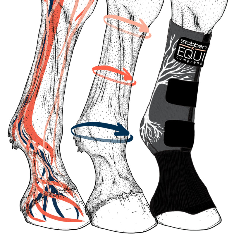 Stuebben Equi Compression diagram