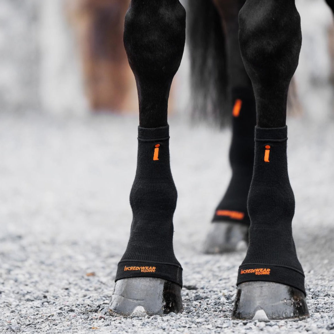 Markwort C-Flap Jaw and Cheek Protection - Forza Sports Markwort C-Flap Jaw and Cheek Protection - Forza Sports