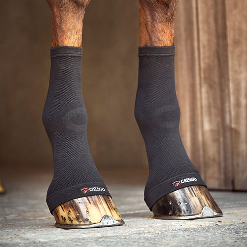 Catago FIR-Tech circulation hoof socks on horse front legs