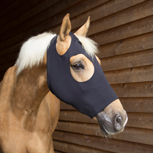 Catago FIR-Tech therapy mask on horse