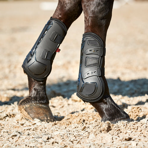 Catago tendon boots black on horse front legs