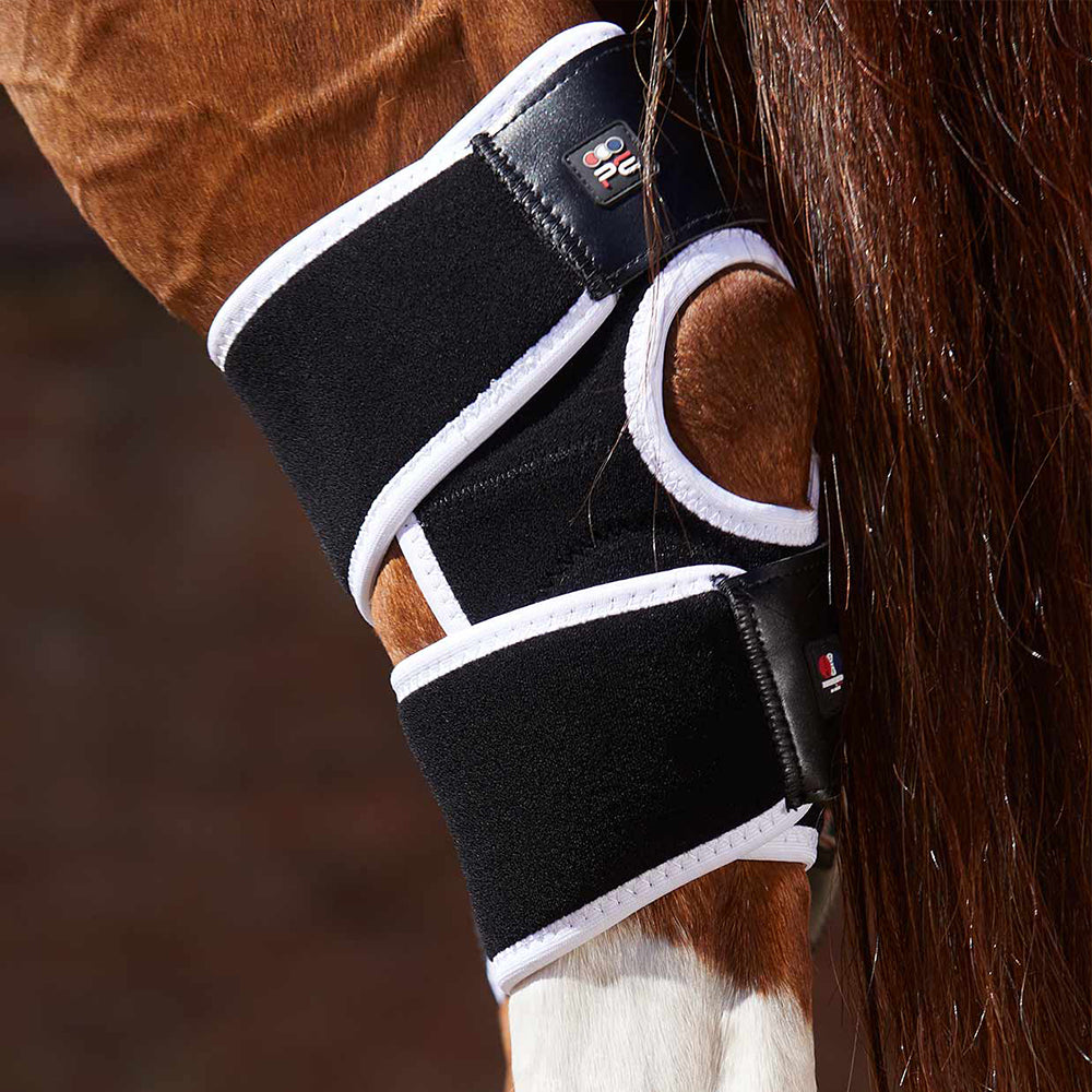 Premier Equine Magni-Teque Magnetic Hock Boots – DiClass Equine
